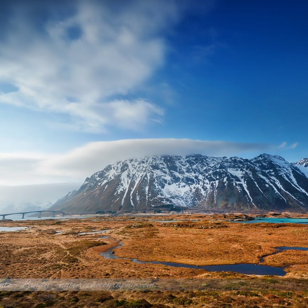 Illustration Of Loneliness