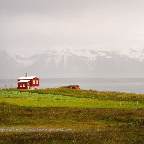 Maison dans un fjord d'Islande