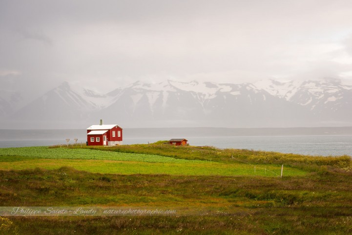 Maison dans un fjord d'Islande