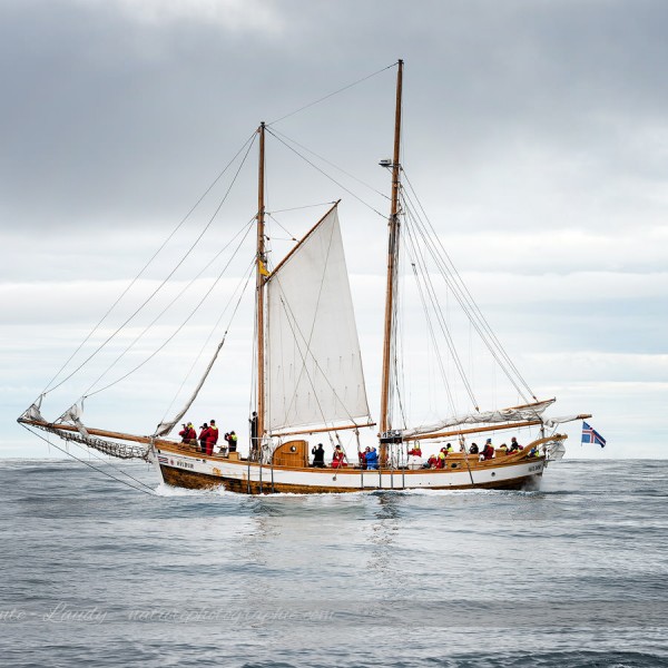 Ancien bateau de pêche à la baleine en Islande