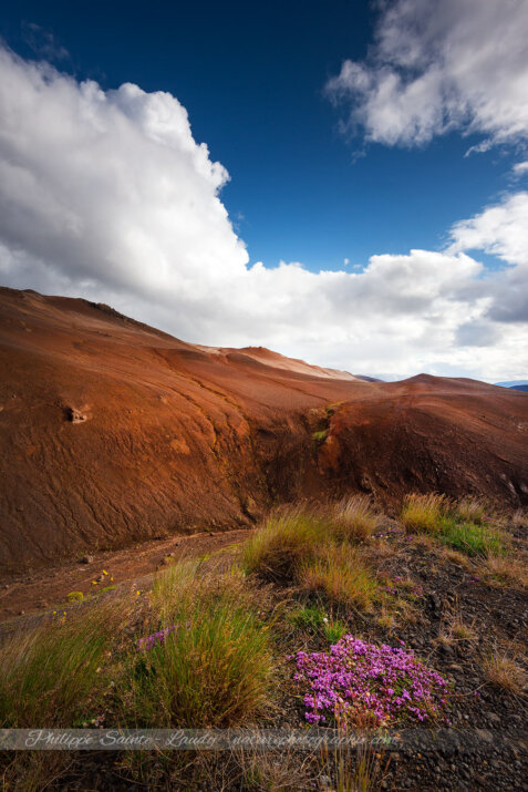 Gros paysage d'Islande