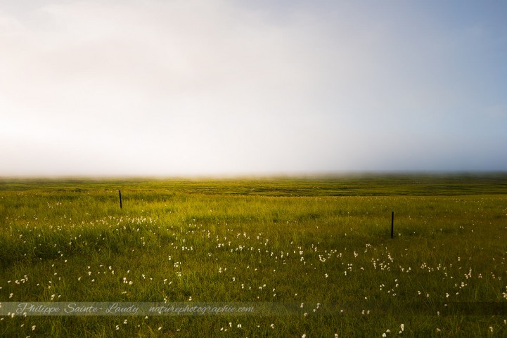 Brouillard en isalnde