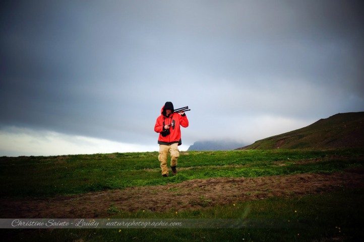 Philippe Sainte-Laudy