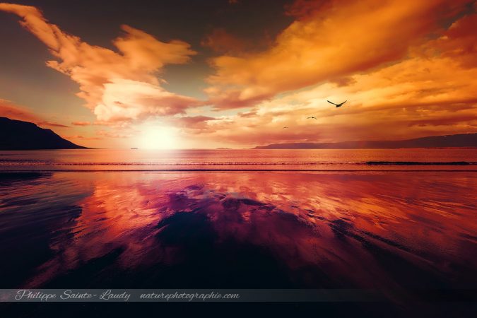 The Light Side Of The Sun