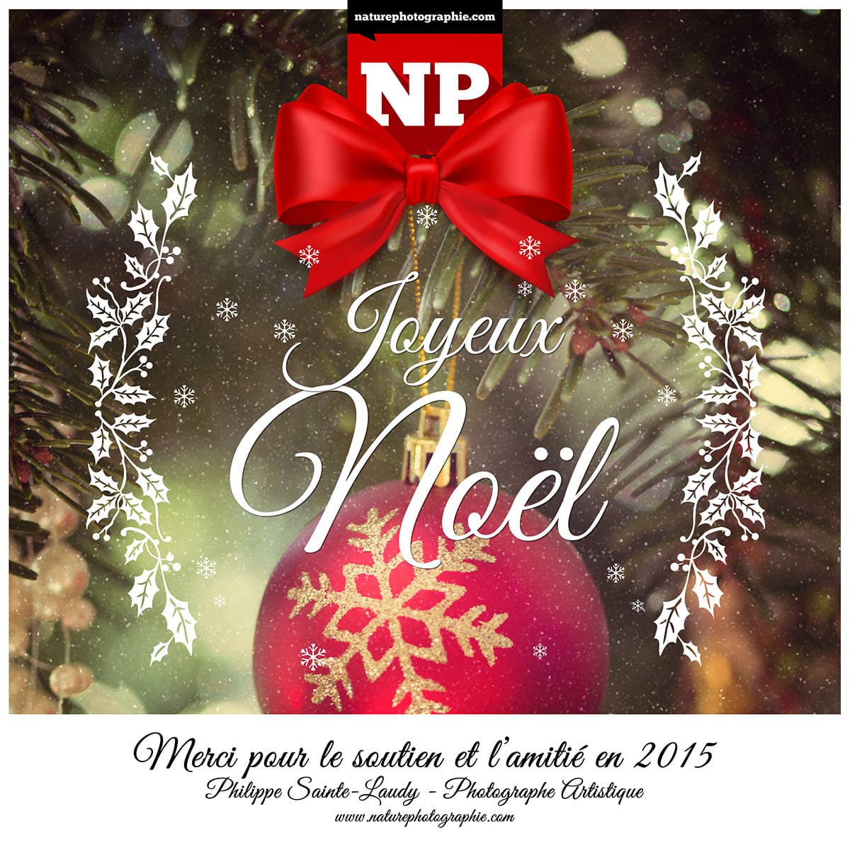 Joyeux Noel Nature Photographie Creative Vision