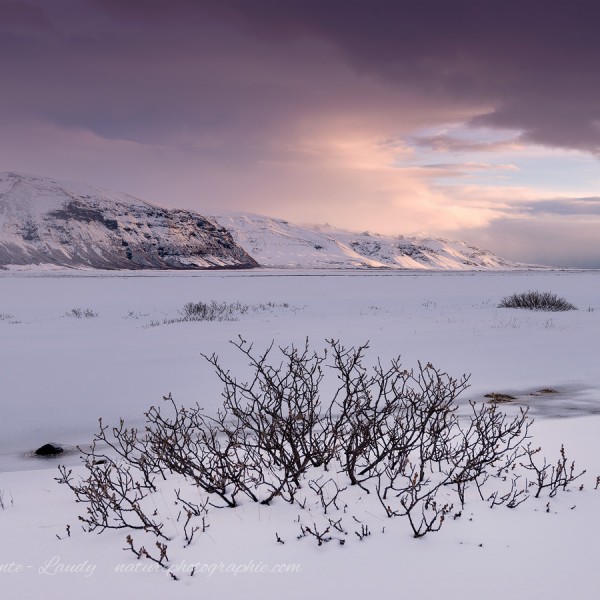 Another Day In Paradise