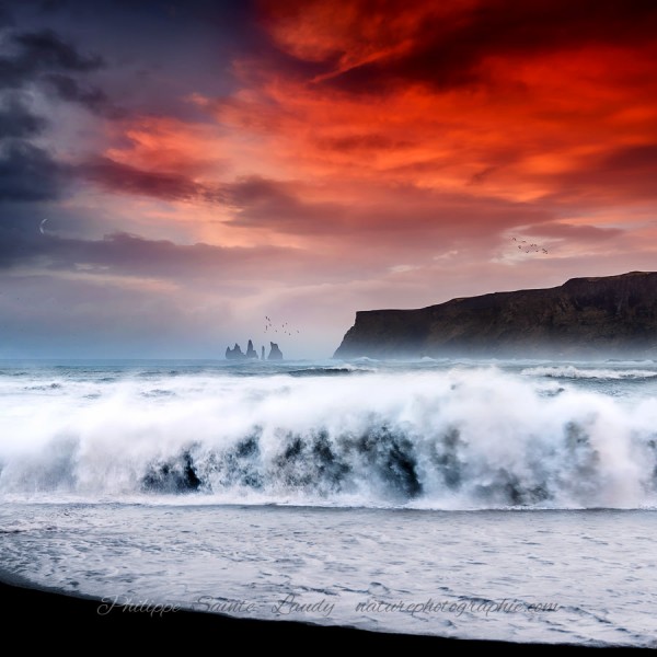 Daydreamning Plage de Vik en Islande