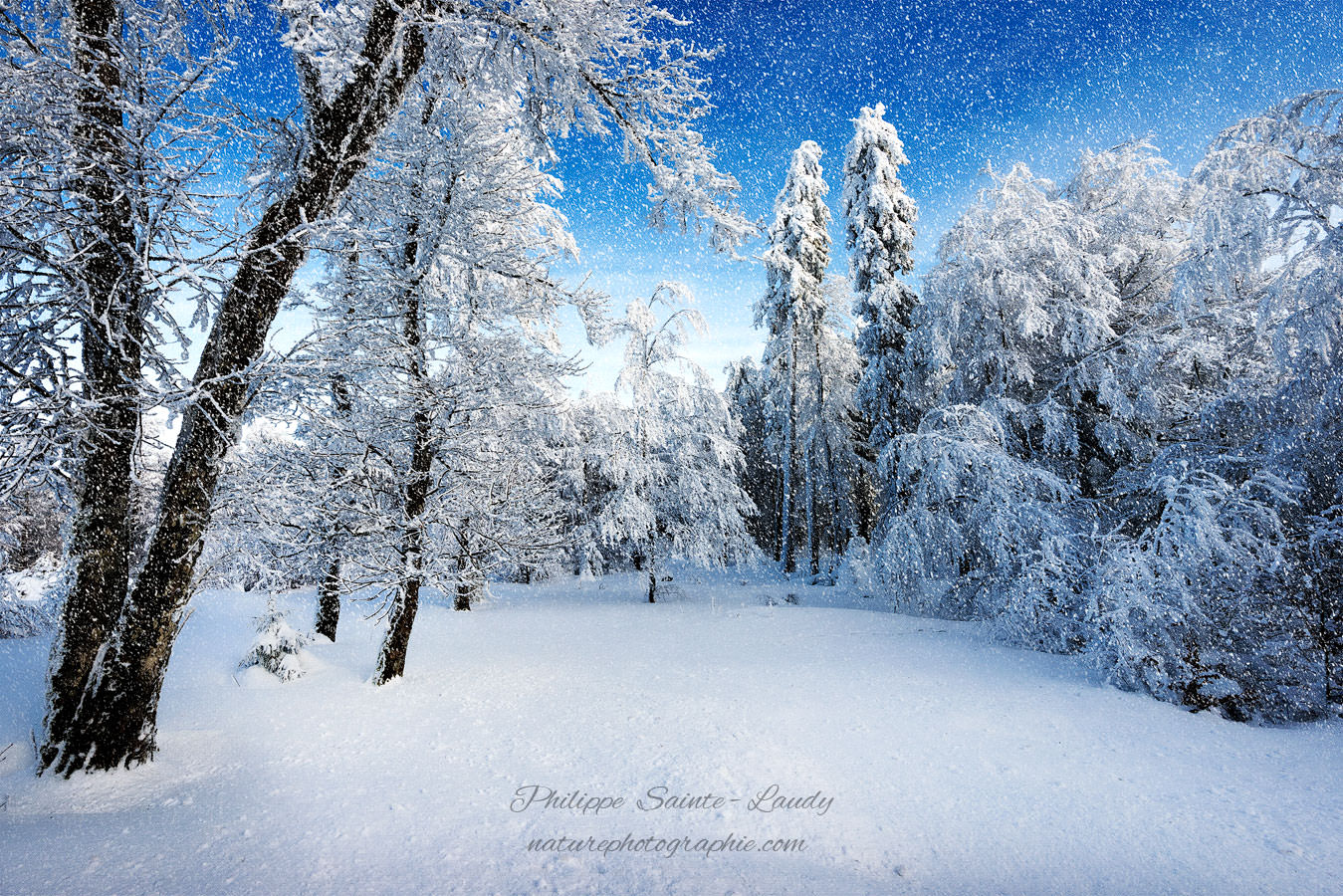 les vosges neige