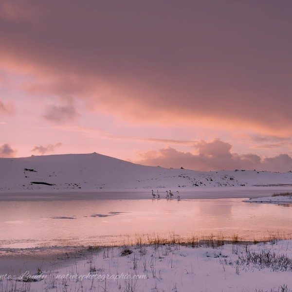 Just Another Winterday