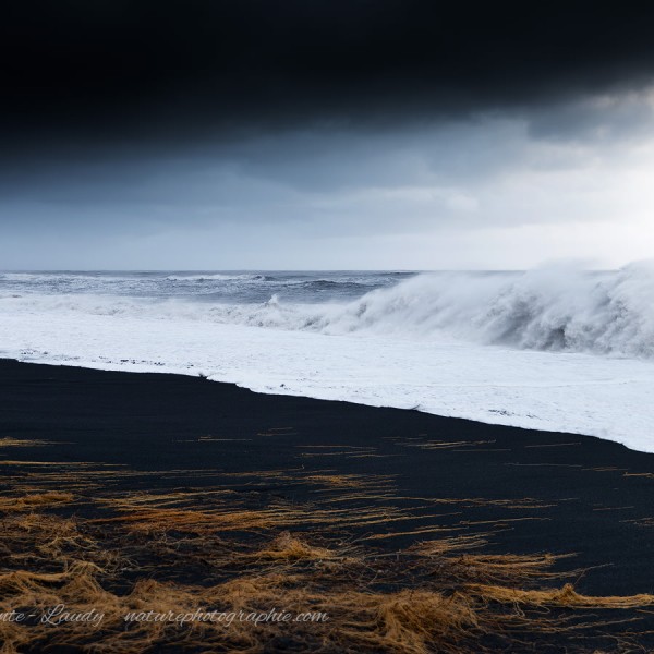 Look Around Any Corner