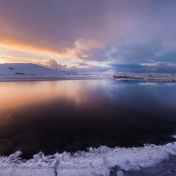 Standing In This Dream