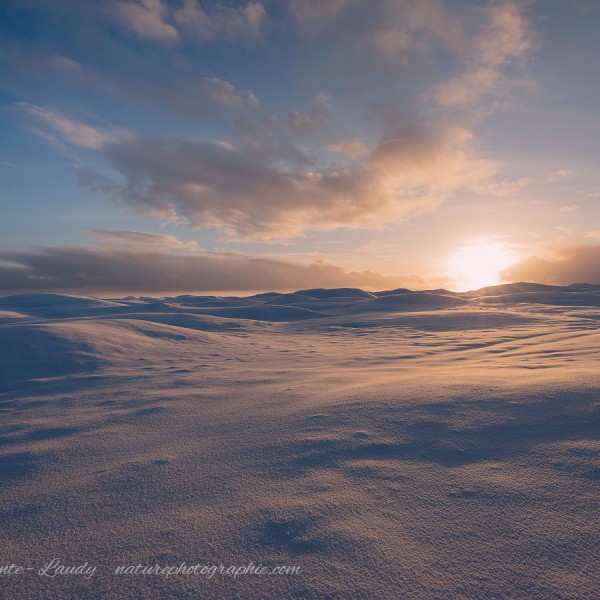 With A Burning Heart