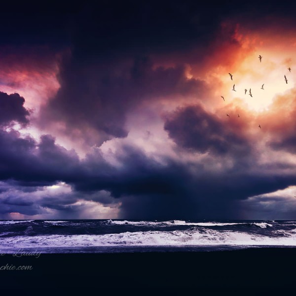 Another Place – Another Time