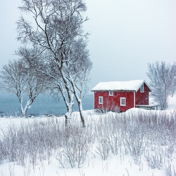 Alone in White Chalet rouge en Norvège