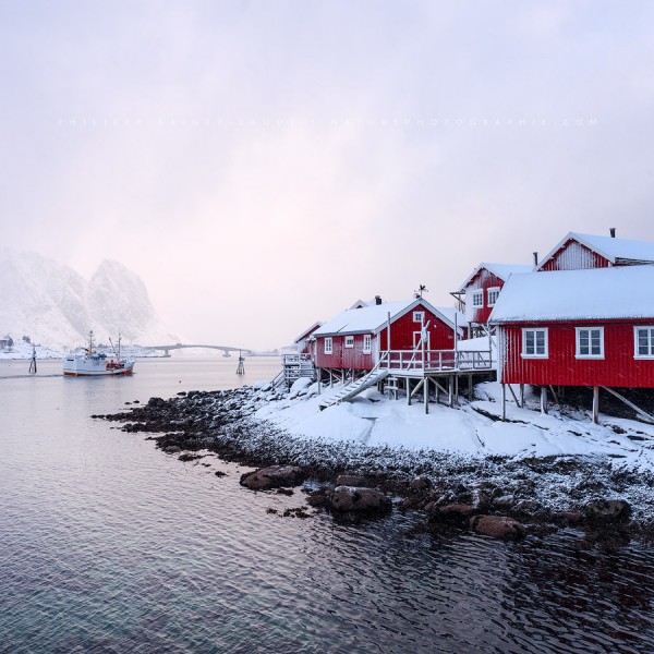 Back To The Land La neige sur Reine - Lofoten