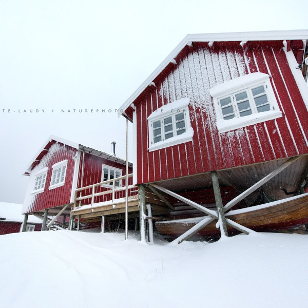 Blowing in the Wind Rorbu à Reine sur les Lofoten