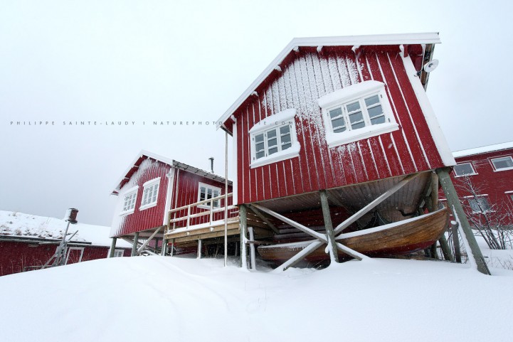 Rorbu à Reine sur les Lofoten