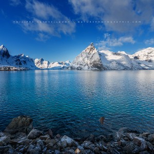 Blue Entrance Vue sur le fjord de Hamnoy