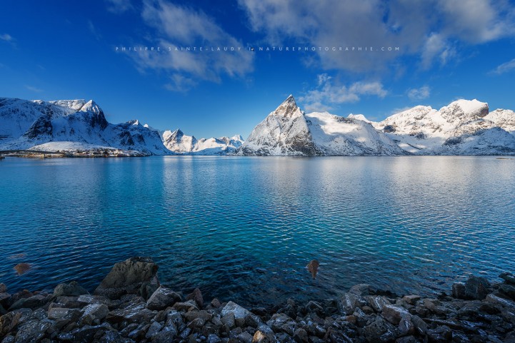 Vue sur le fjord de Hamnoy