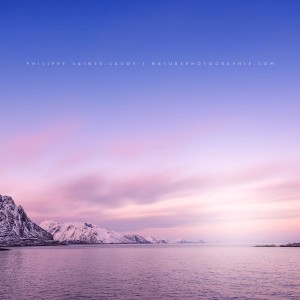 Catching the Sun Lofoten