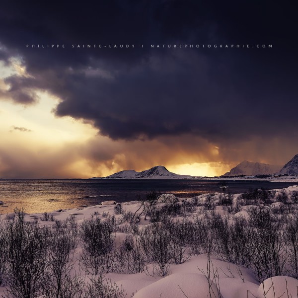 Don’t Lose Your Mind