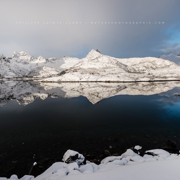 Dream Your Life Away