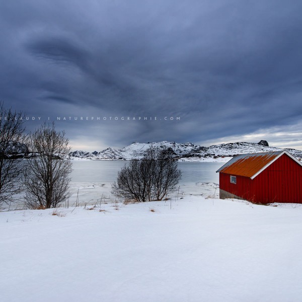 Elements Of Surprise