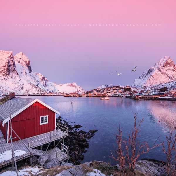 First take Reine sur les Lofoten