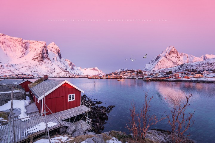 Reine sur les Lofoten