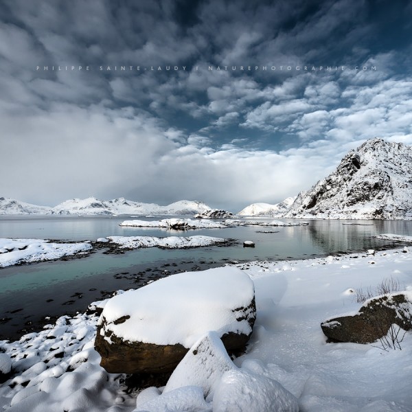 Go Ahead In The Snow