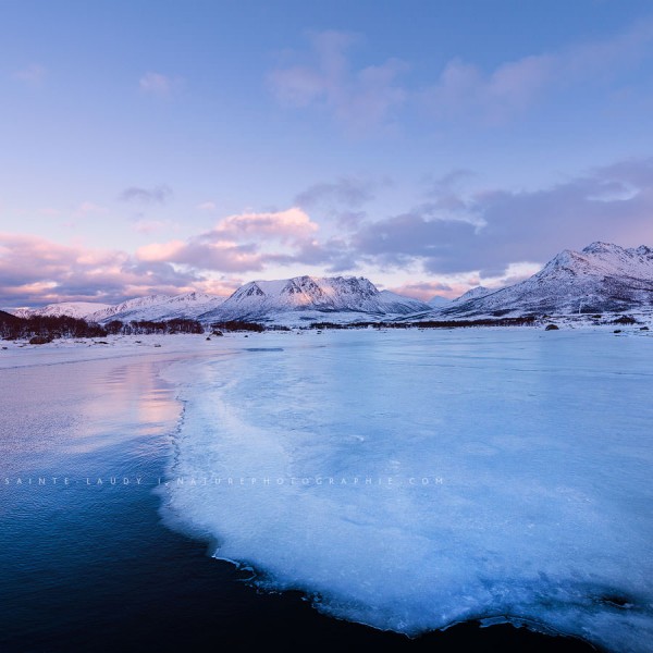 If I Ever Lose This Heaven