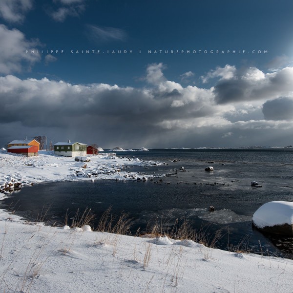 In The Middle Of The Day