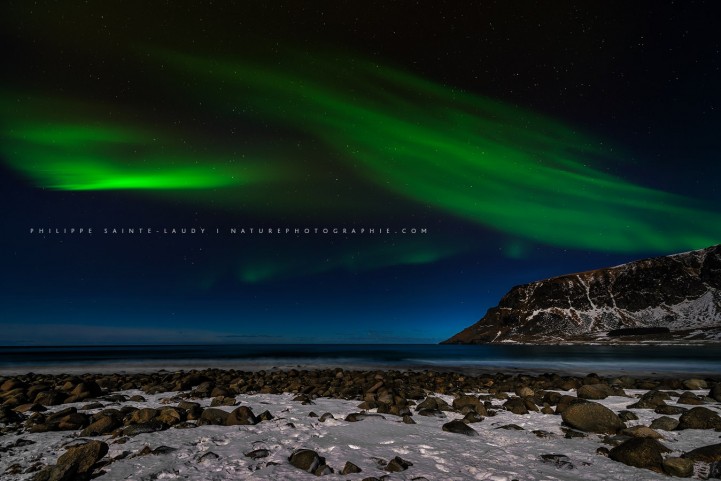 Une aurore boréale sur les îles Lofoten