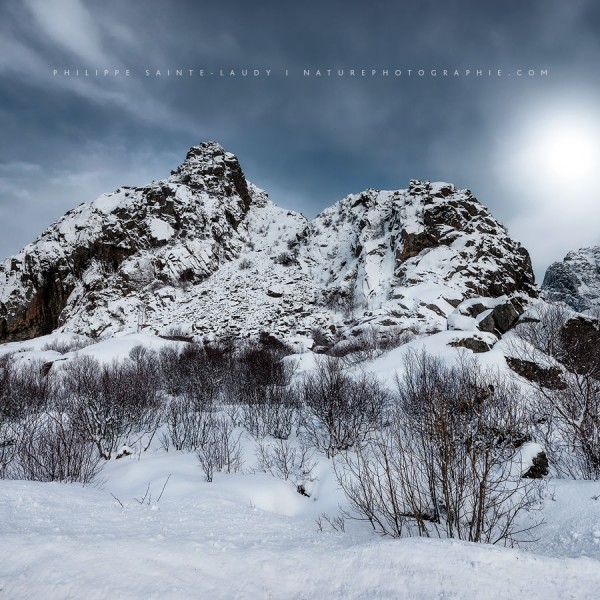 In Your Wildest Dreams