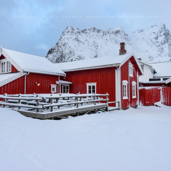 Is Anybody Out There Les rorbu rouge de Reine en Norvège