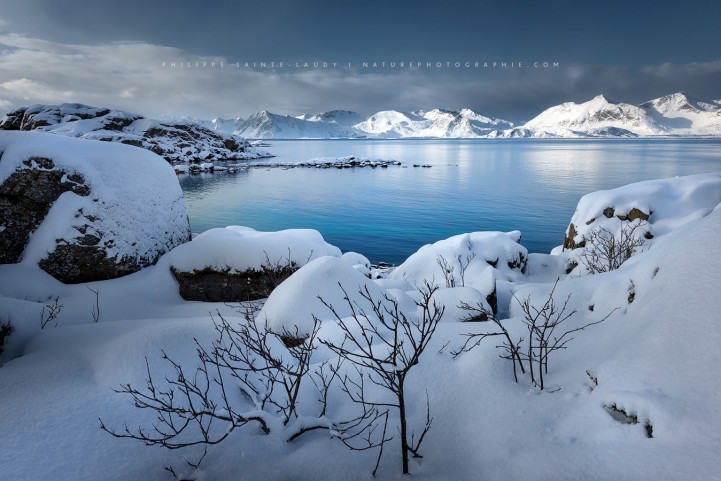 Fjord en Norvège sur les îles Lofoten