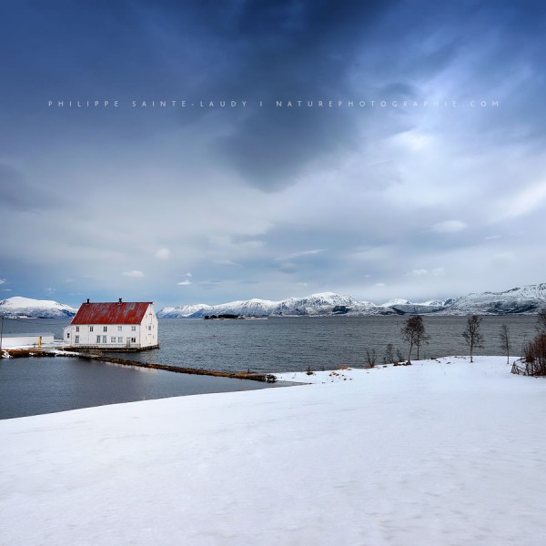 Last Day In Paradise