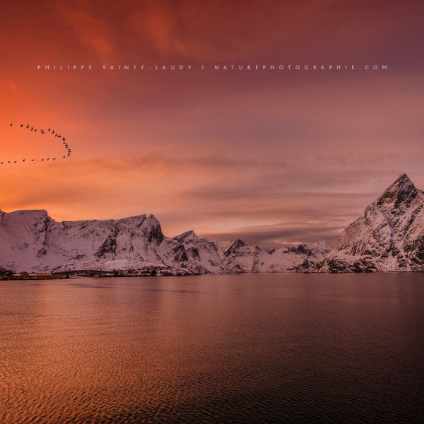 Let’s Burn Again Hamnoy en Norvège au soleil couchant