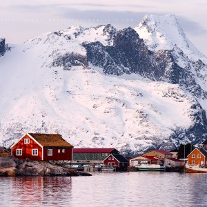 Life in the Fjord Vue sur Reine