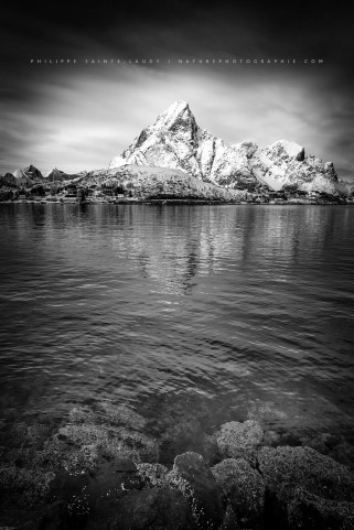 Reine en noir et blanc
