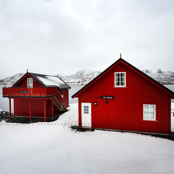 My House Is Your Home