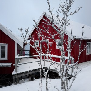 Norvegian Red Cabin Reine le village