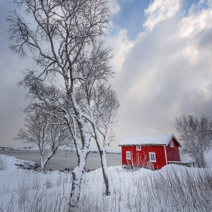 Nothing To Lose Rorbu traditionnel sous la neige