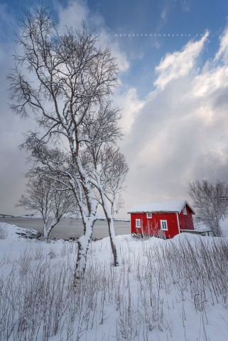 Rorbu traditionnel sous la neige