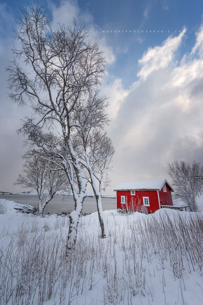 Rorbu traditionnel sous la neige