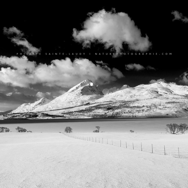 On The Edge of A Perfect Moment