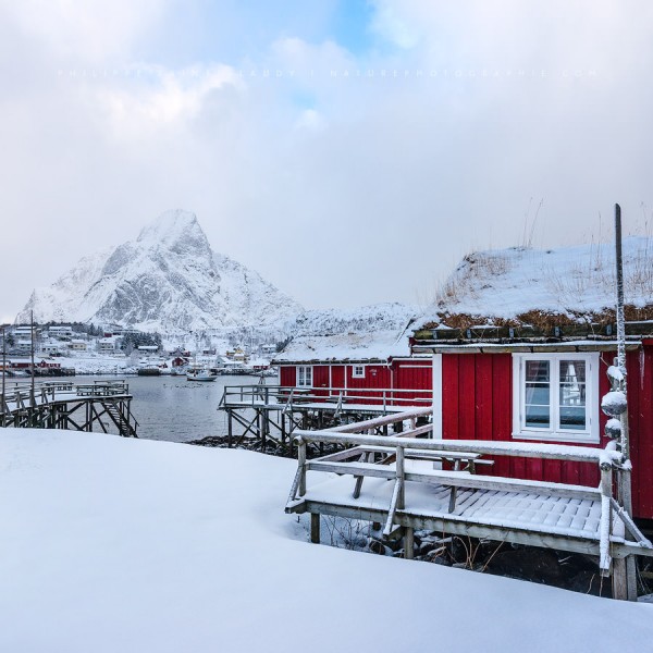 Pearl Of The Quarter Le village de Reine en Norvège