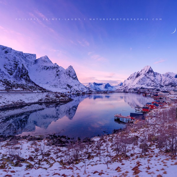 Pink Light Over Reine