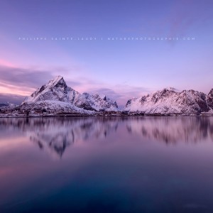 Pink Paradise Reine au lever du jour