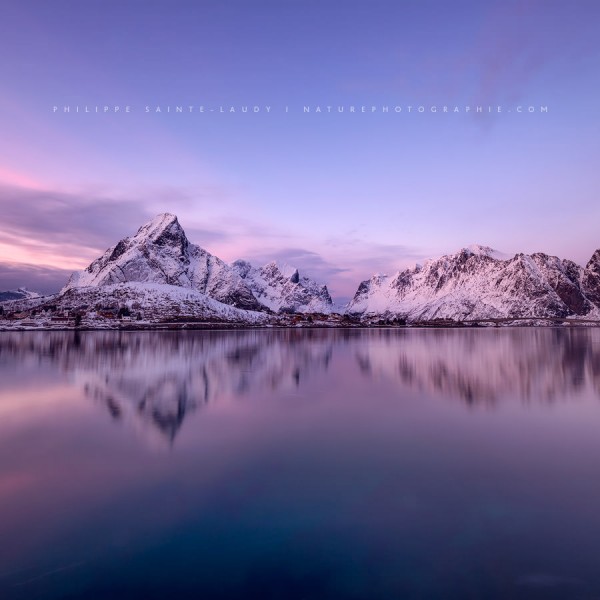 Pink Paradise Reine au lever du jour